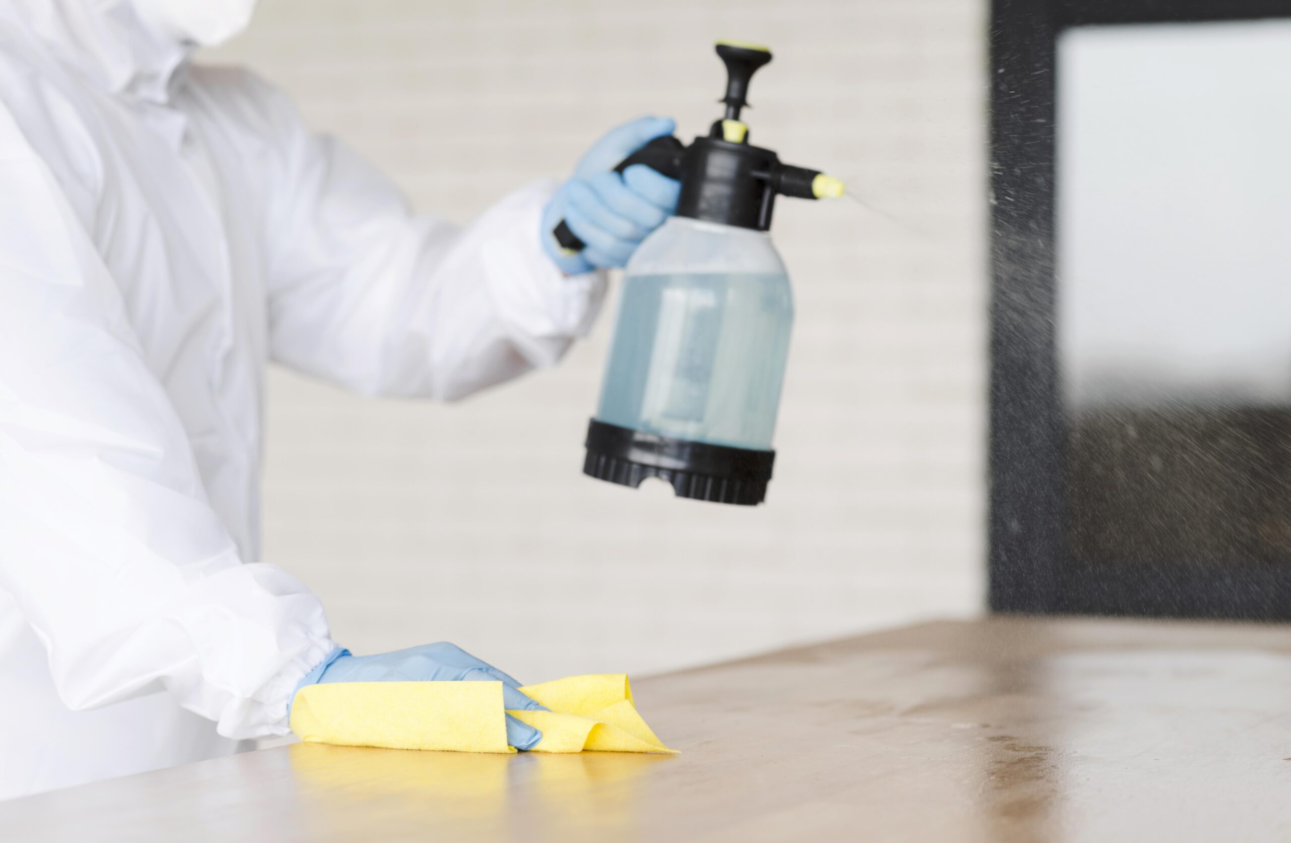 bed bug exterminator