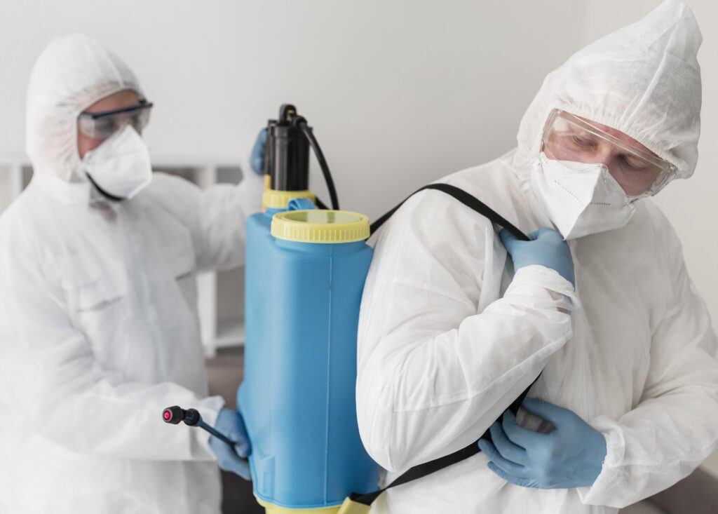 DIY vs Professional Pest Control: Which Lasts Longer?