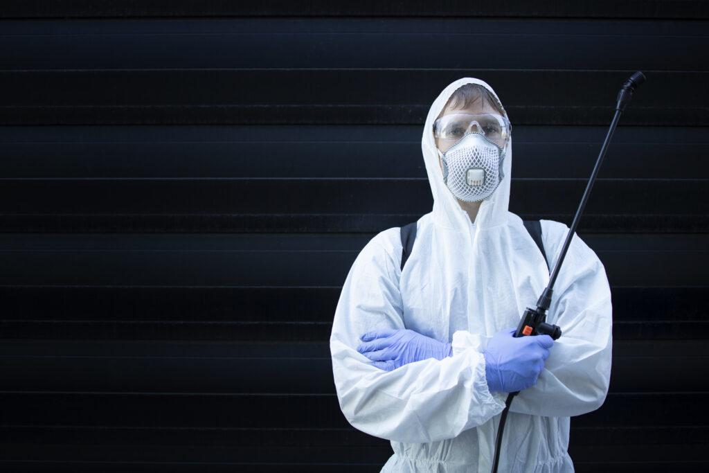 What Attracts Bugs and Rodents to Your Home?