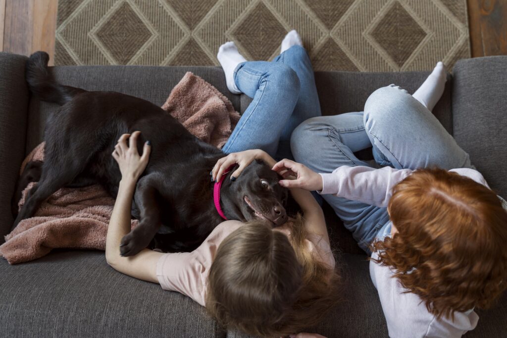 Are Pest Control Treatments Safe for Pets? What You Need to Know