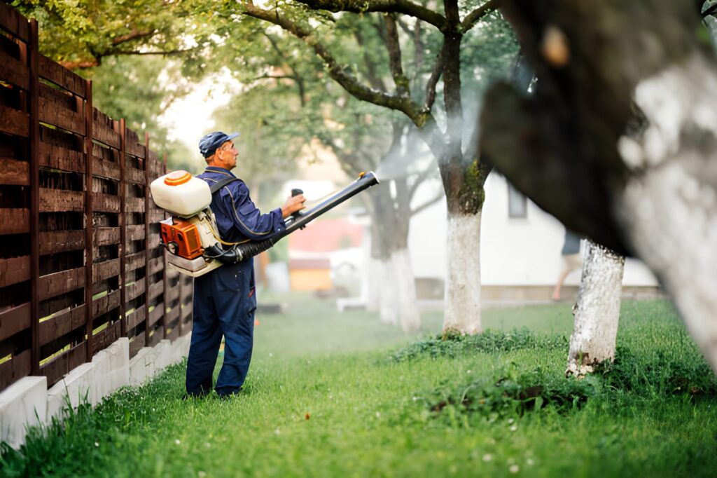 How Much Does Pest Control Cost in 2025?