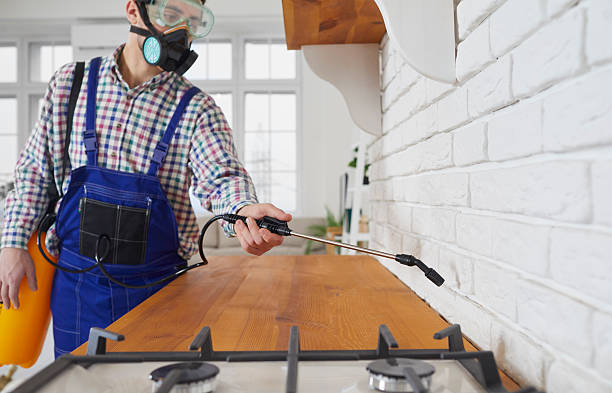 Rodent Control Services