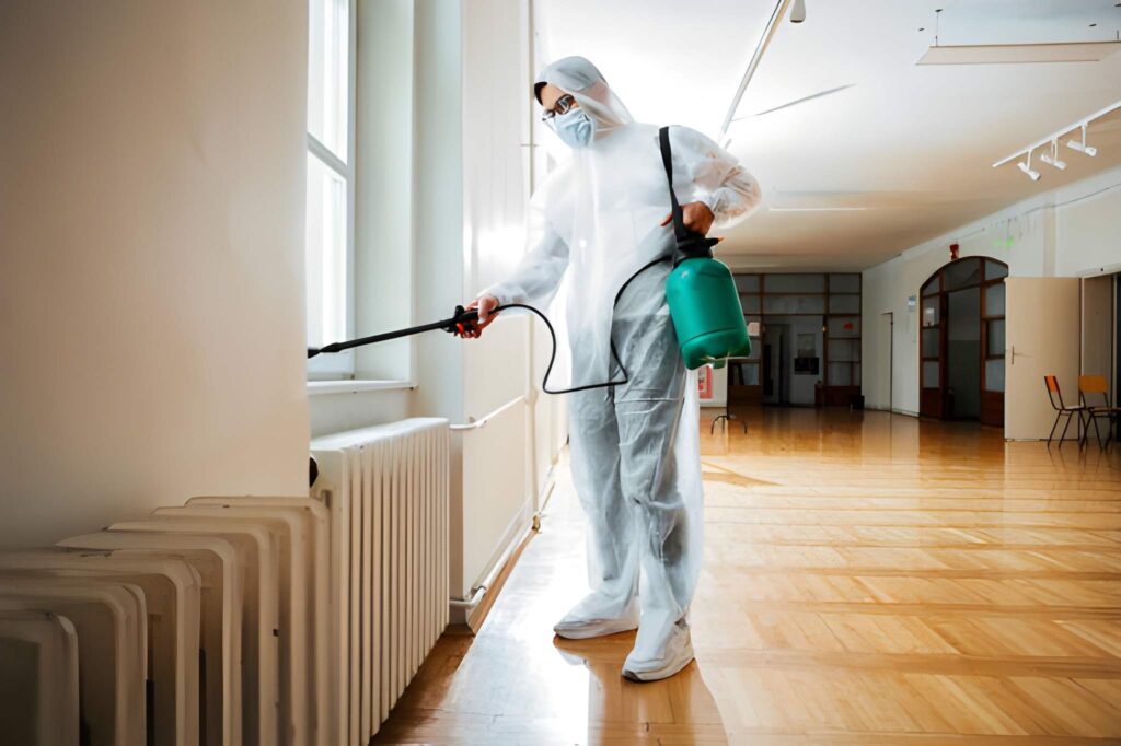 Early Warning Signs of Termites: Don’t Ignore These Red Flags