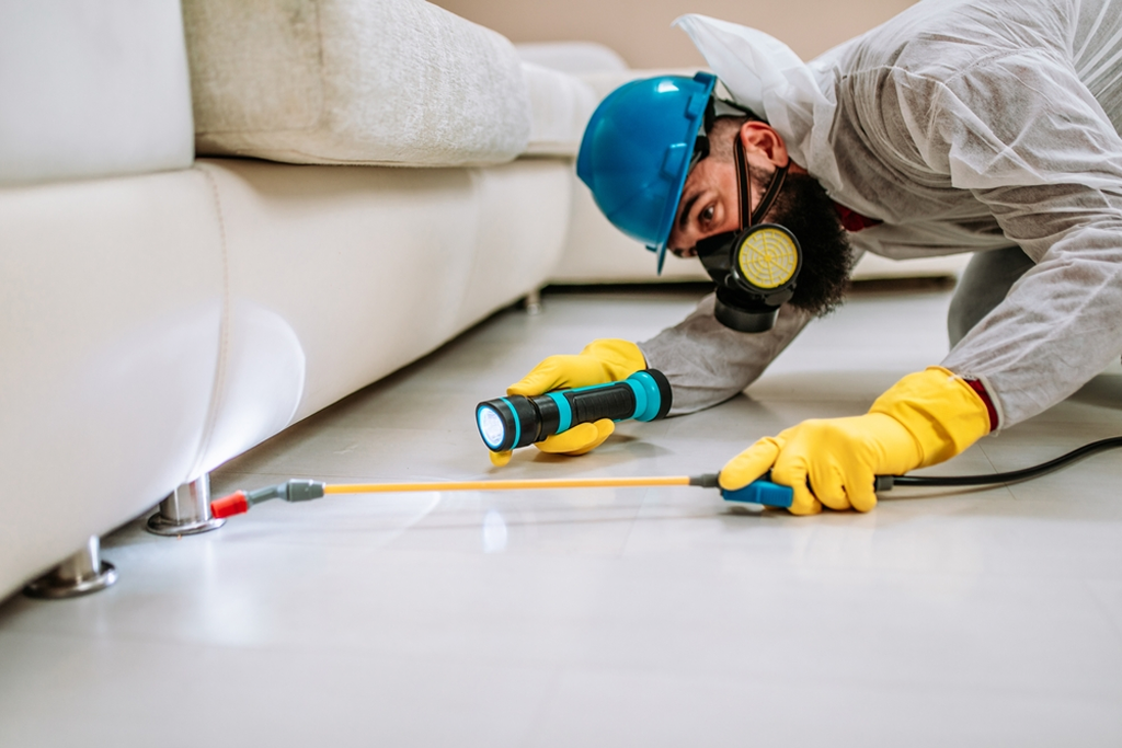 Pest Control Naperville technician completing roach control service in Naperville DuPage County IL