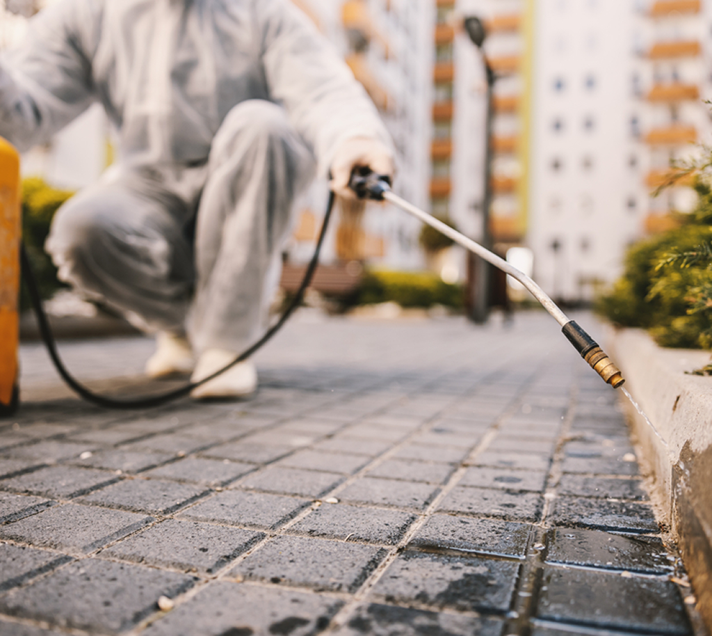 Professional exterminator treating termites and rodents in a Wheaton Illinois home