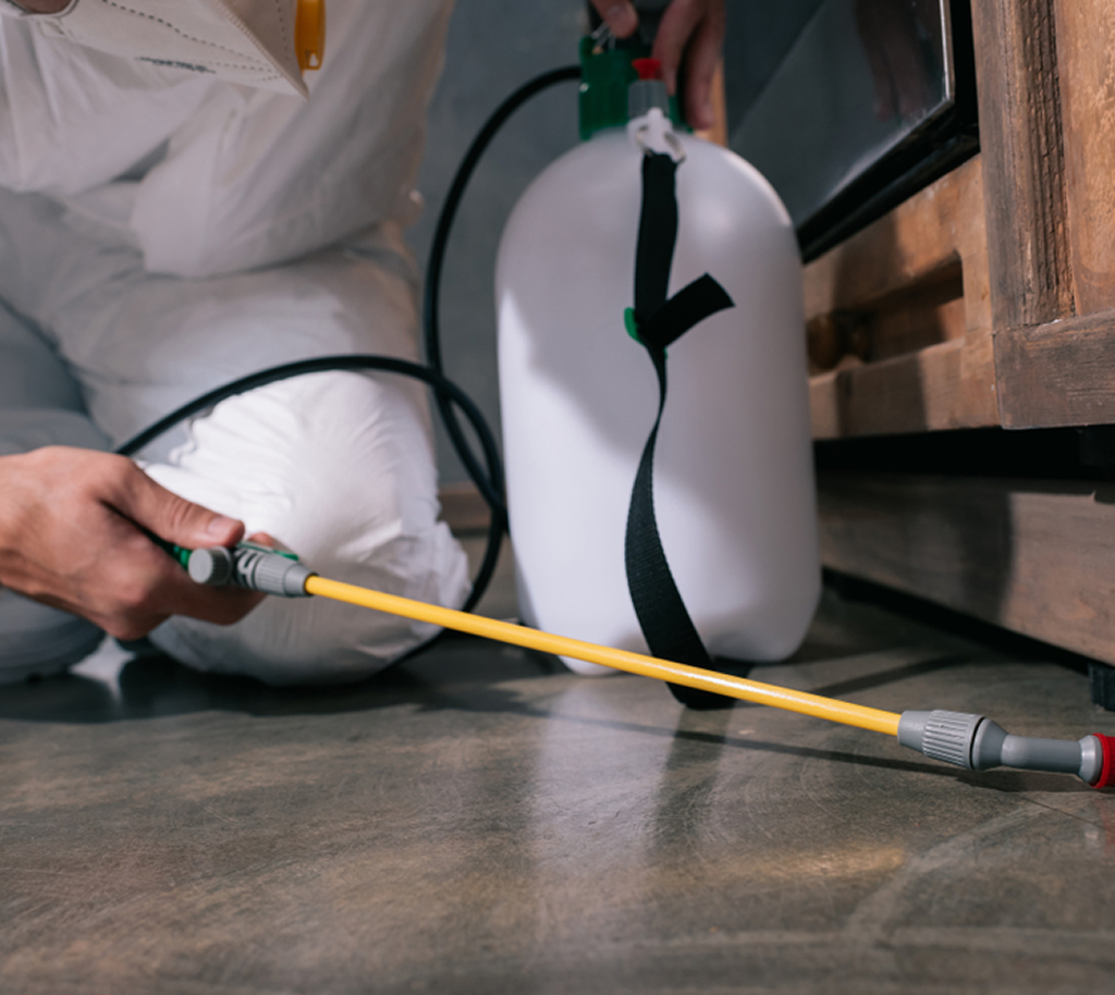 Pest Control Naperville technician completing professional pest control in Glen Ellyn DuPage County