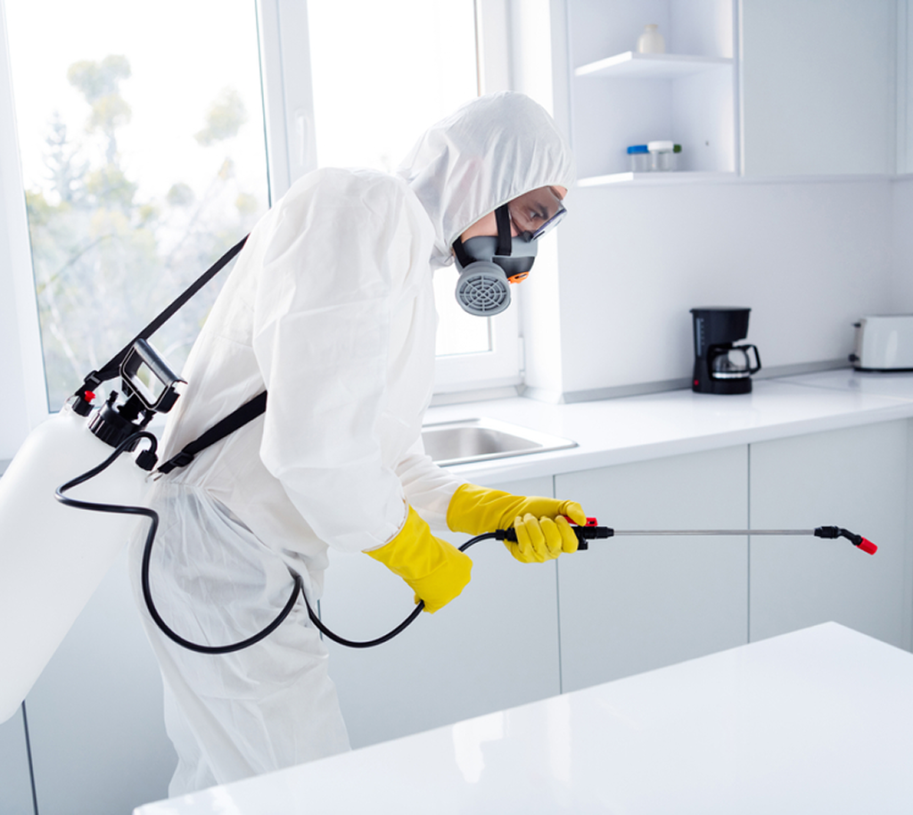 Licensed roach exterminator inspecting a kitchen in Naperville IL